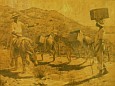 Hugo Larsen: Men with Loaded Donkeys, St. Thomas 1904