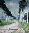 Constitution Hill, St. Croix 1905